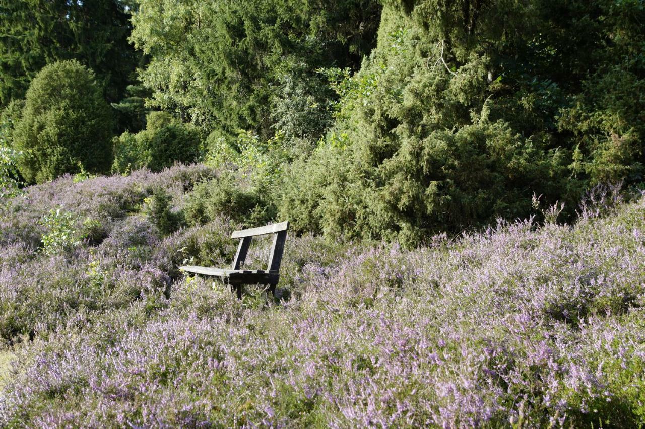 Ferienpension Lindenhof - Ferienwohnungen In Der Lueneburger Heide Marxen am Berge Extérieur photo
